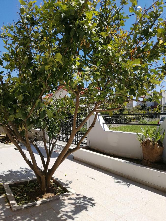 Paulsia Apartments Psinthos Екстериор снимка